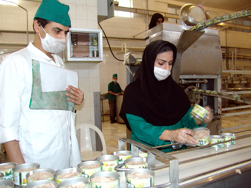 افتتاح ۳۴۷ شرکت تعاونی همزمان با هفته تعاون